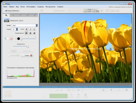 Picasa вставка текста.